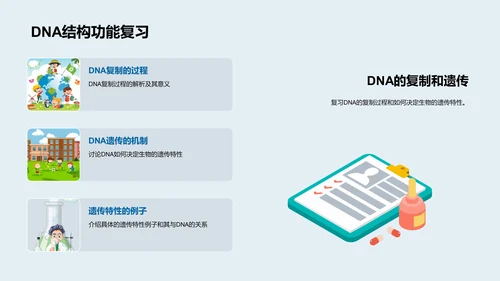 DNA遗传原理讲解PPT模板