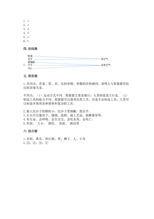 苏教版一年级下册科学期末测试卷【巩固】.docx