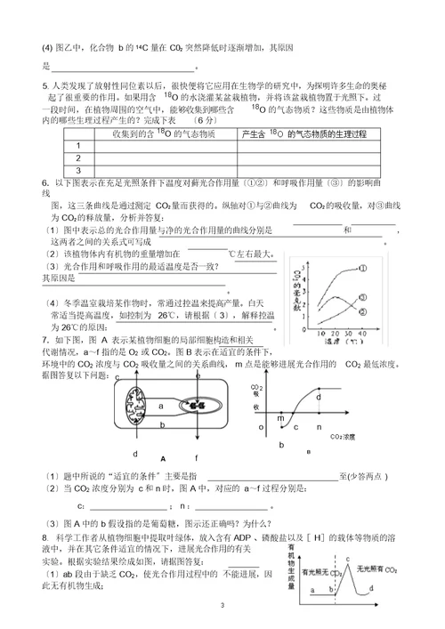 光合作用与呼吸作用专题综合练习含答案