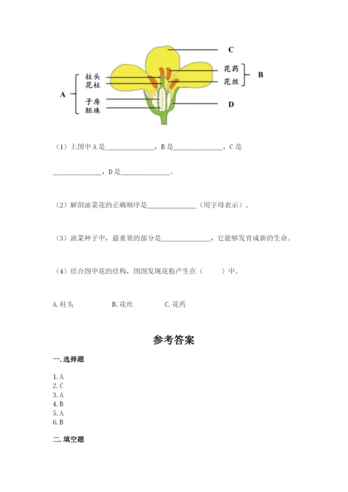 科学四年级下册第一单元《植物的生长变化》测试卷及答案【真题汇编】.docx