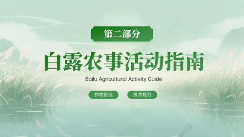 绿色中国风白露节气知识PPT模板
