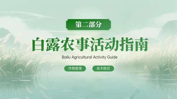 绿色中国风白露节气知识PPT模板