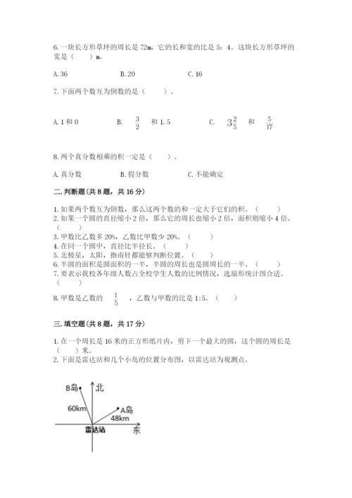 小学数学六年级上册期末测试卷及完整答案（典优）.docx