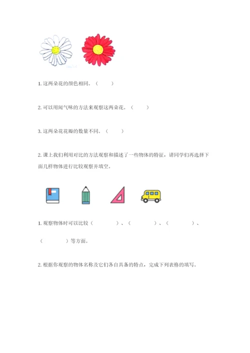 教科版一年级下册科学期末测试卷精品（典优）.docx