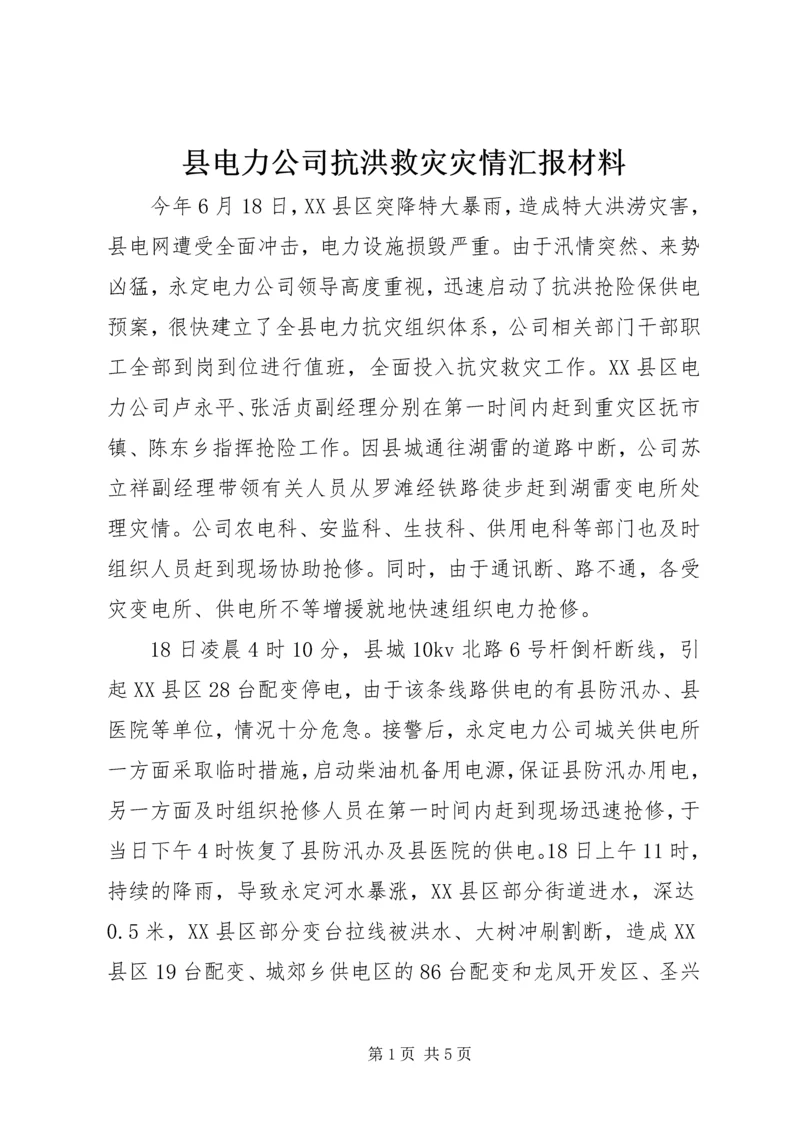 县电力公司抗洪救灾灾情汇报材料.docx