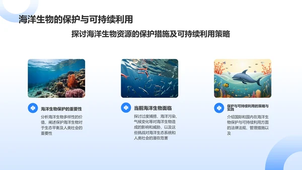 蓝色摄影风海洋生物知识科普PPT模板