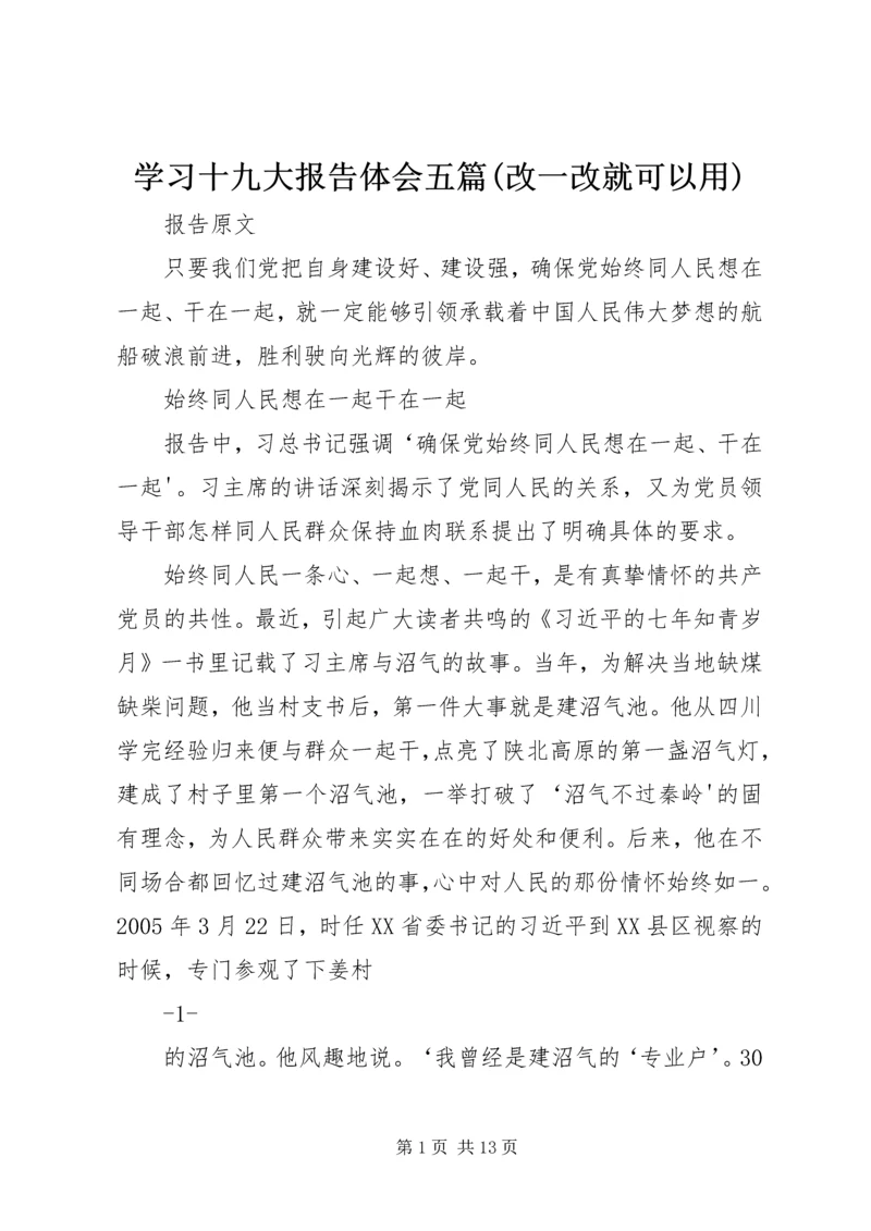 学习十九大报告体会五篇(改一改就可以用) (4).docx