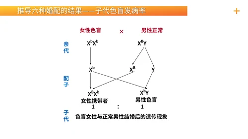 基因学伴性遗传初高中生物PPT课件
