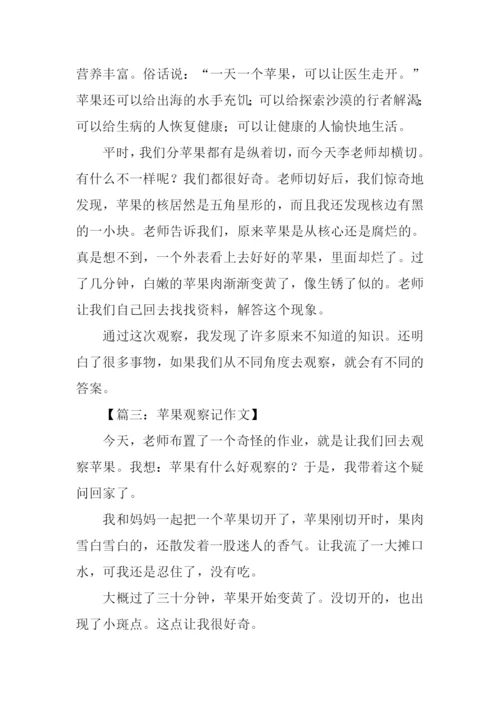 小学生观察作文苹果.docx