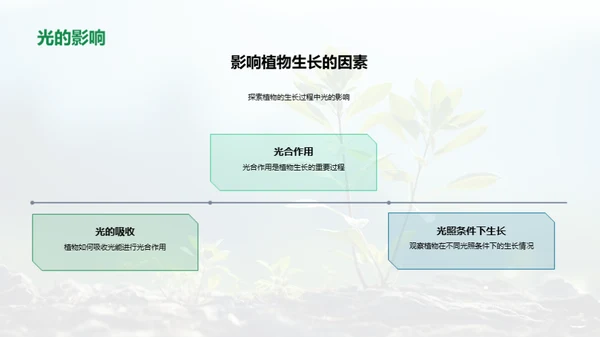 揭秘植物生长奥秘