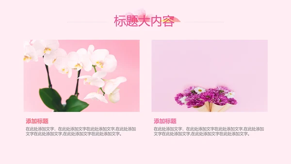 粉色三八妇女节班会动态ppt模板D