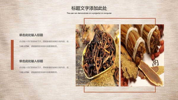 传统中医学中医院中医文化中草药PPT模板