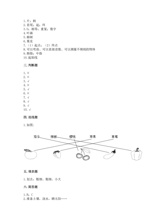 教科版一年级上册科学期末测试卷及答案（有一套）.docx