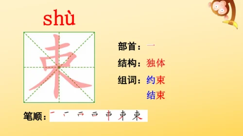 7 什么比猎豹的速度更快    课件