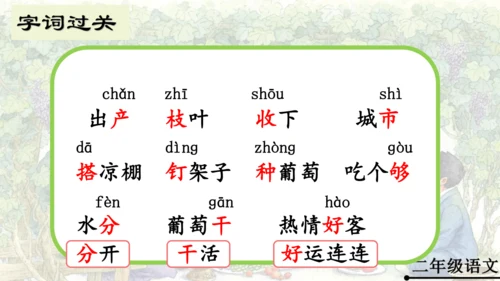 11 葡萄沟   公开课   课件
