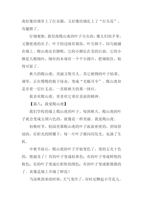 爬山虎的作文200字.docx