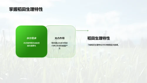 稻田科学种植