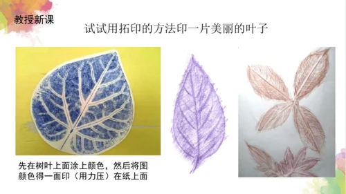 第十一课《拓印树叶真有趣》课件