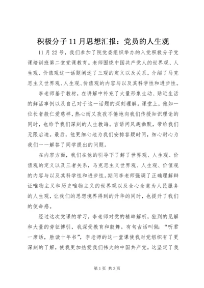 积极分子11月思想汇报：党员的人生观.docx