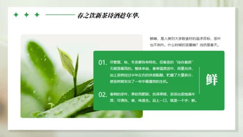 浪漫的春天主题通用PPT模板