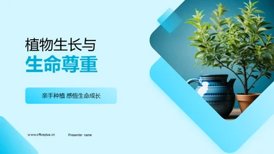 植物生长与生命尊重