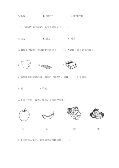 教科版小学科学二年级下册 期末测试卷及答案（典优）.docx