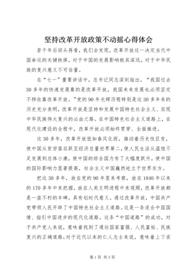 坚持改革开放政策不动摇心得体会 (5).docx