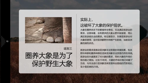 保护野生动物大象PPT模板