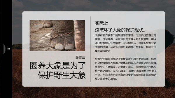 保护野生动物大象PPT模板