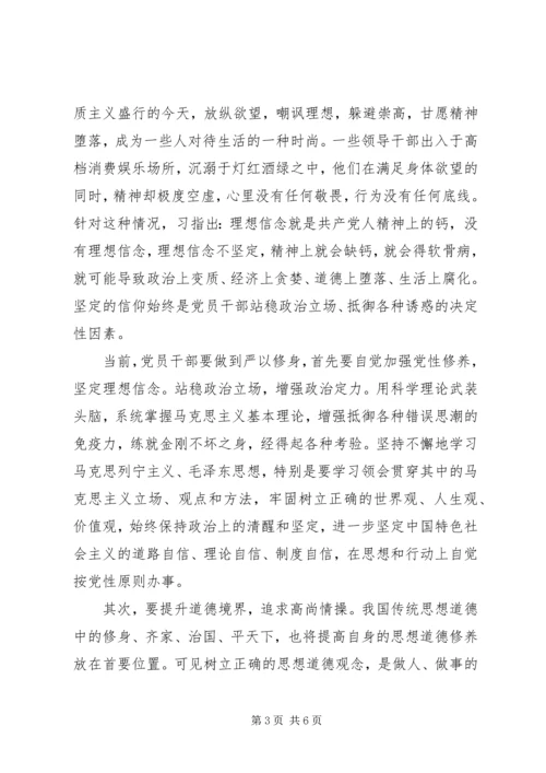 坚定理想信念做合格党员优秀演讲稿.docx