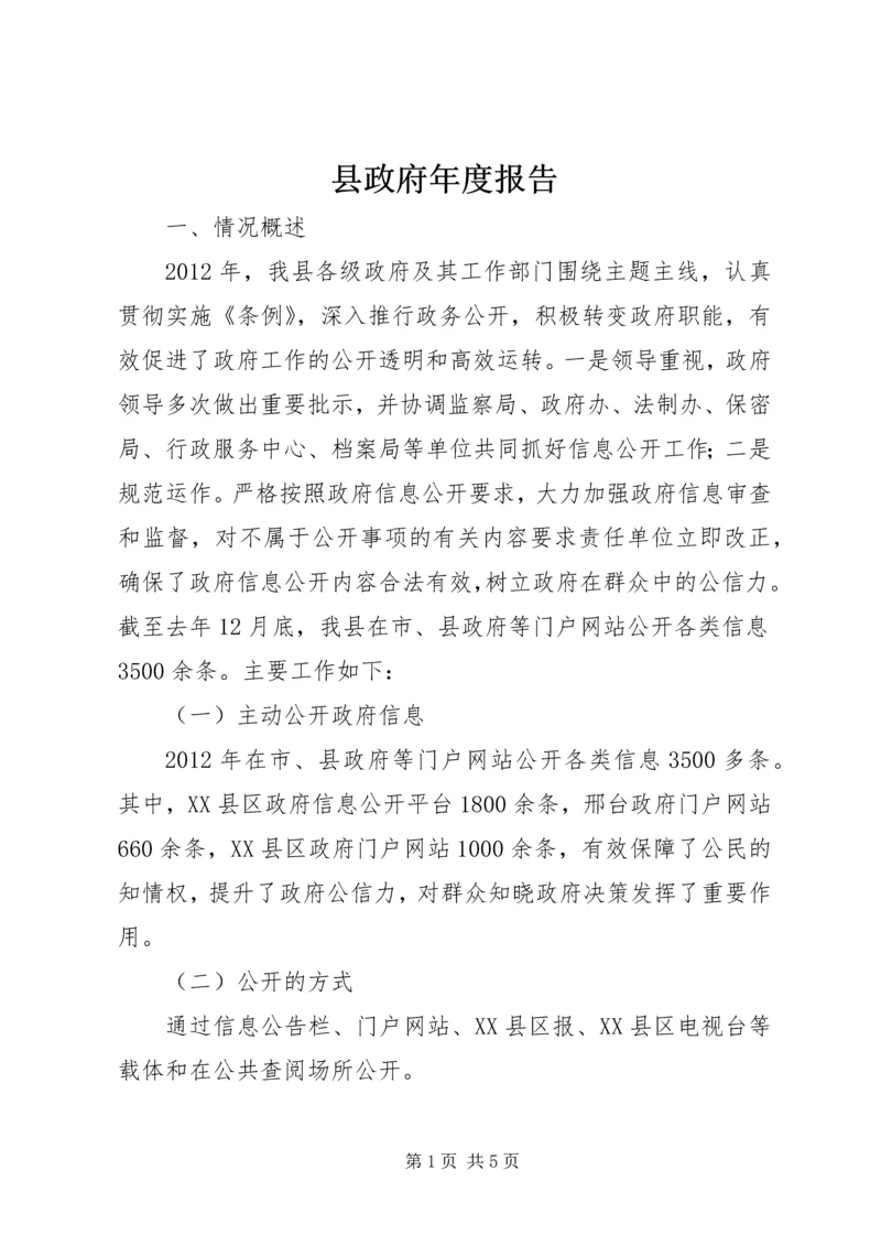 县政府年度报告 (2).docx