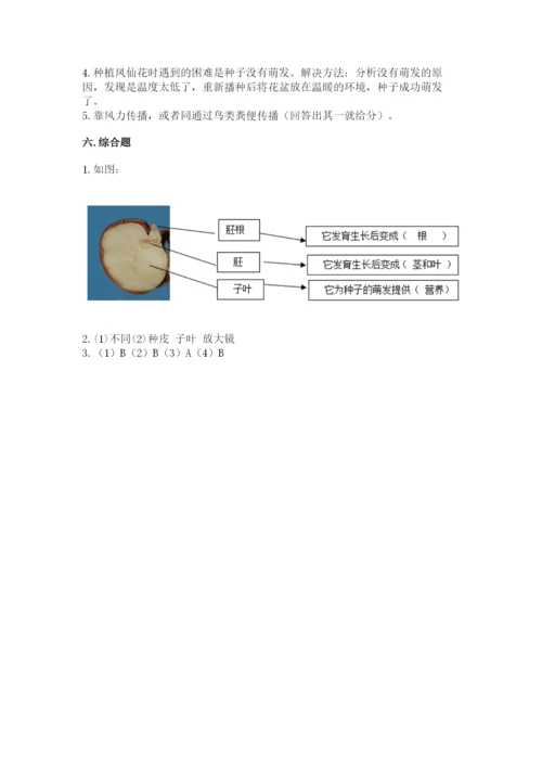 科学四年级下册第一单元《植物的生长变化》测试卷（能力提升）.docx