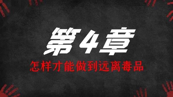 国际禁毒日珍爱生命远离禁毒教育知识PPT模板