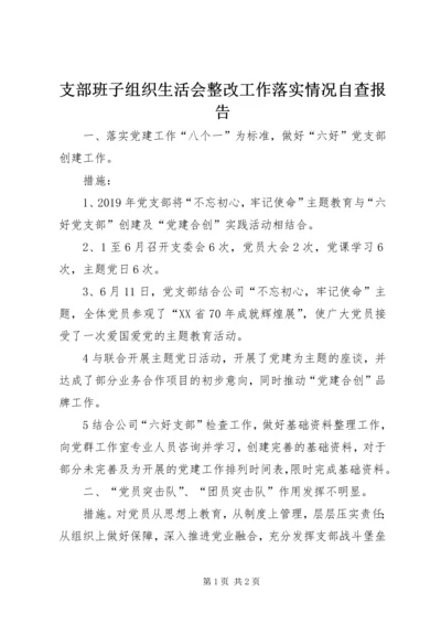支部班子组织生活会整改工作落实情况自查报告.docx