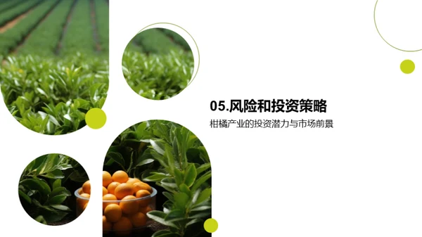 柑橘行业：挖掘投资新机遇