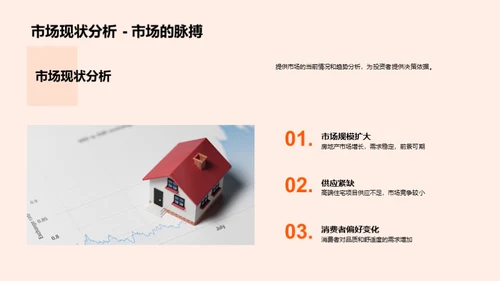项目投资策略解析