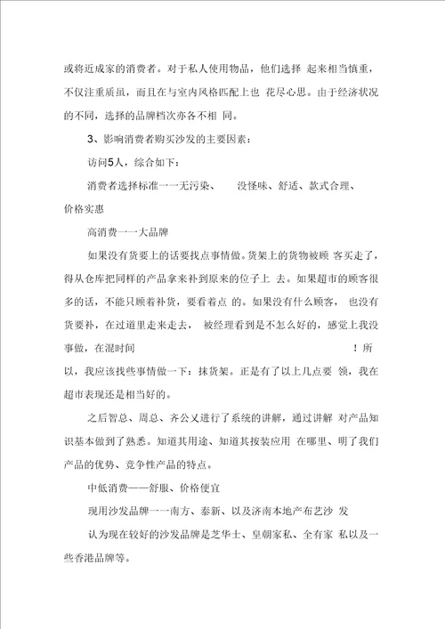 市场调查主题报告范文