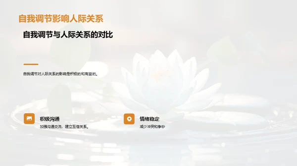 掌控内心：自我调节艺术