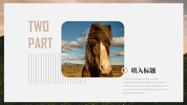 马场名马通用PPT模板