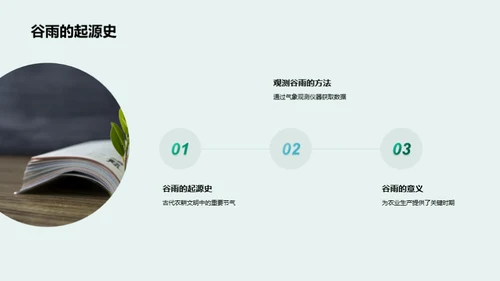 谷雨节气与环保