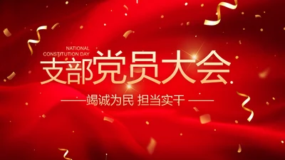 党支部党员大会年终工作总结PPT