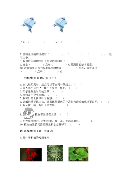 教科版一年级上册科学期末测试卷a4版可打印.docx