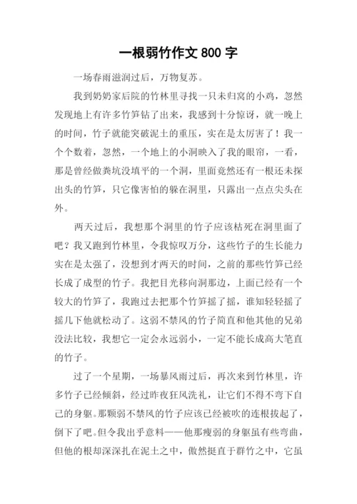 一根弱竹作文800字.docx