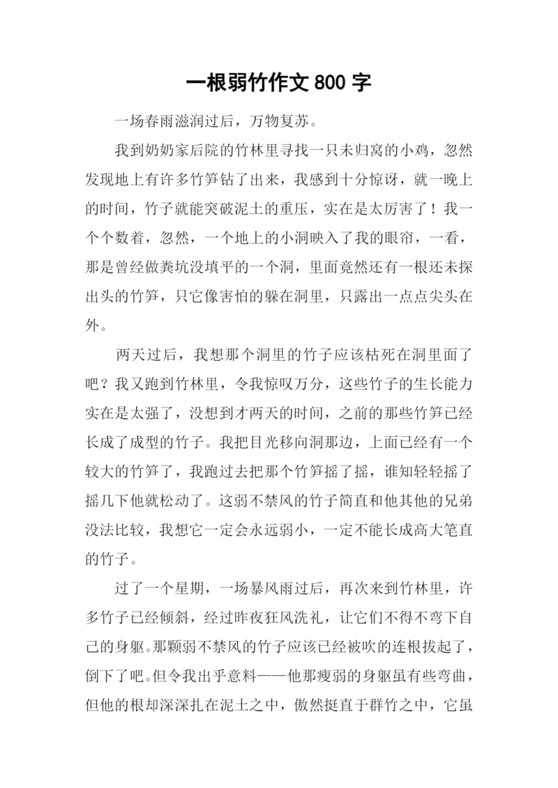 一根弱竹作文800字.docx