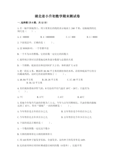 湖北省小升初数学期末测试卷及一套答案.docx