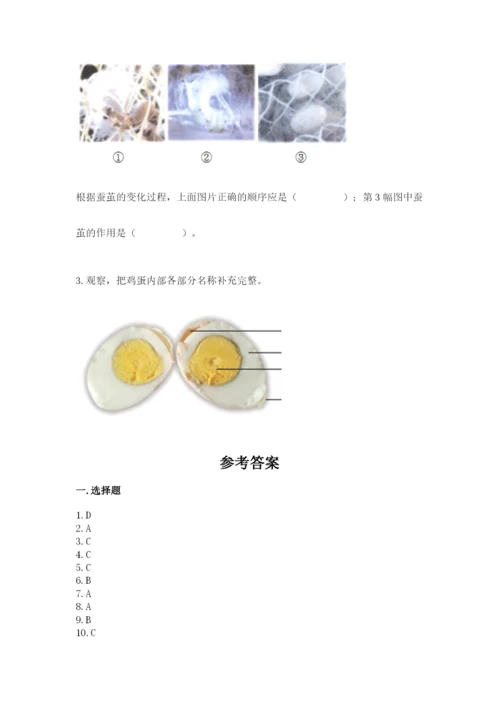 教科版科学三年级下册 期末测试卷附参考答案（培优a卷）.docx