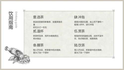 白色春茶产品介绍宣传手册