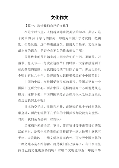 文化作文00.docx