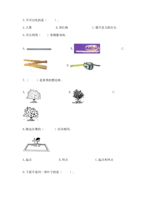 教科版一年级上册科学期末测试卷及参考答案1套.docx