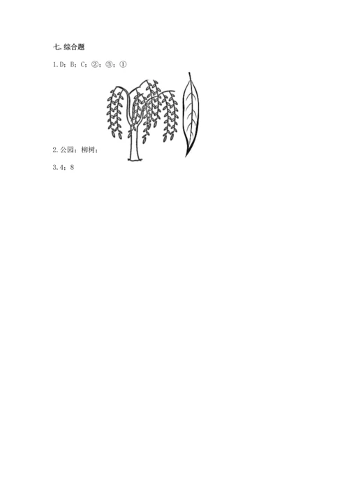 教科版科学一年级上册期末测试卷（考点梳理）.docx